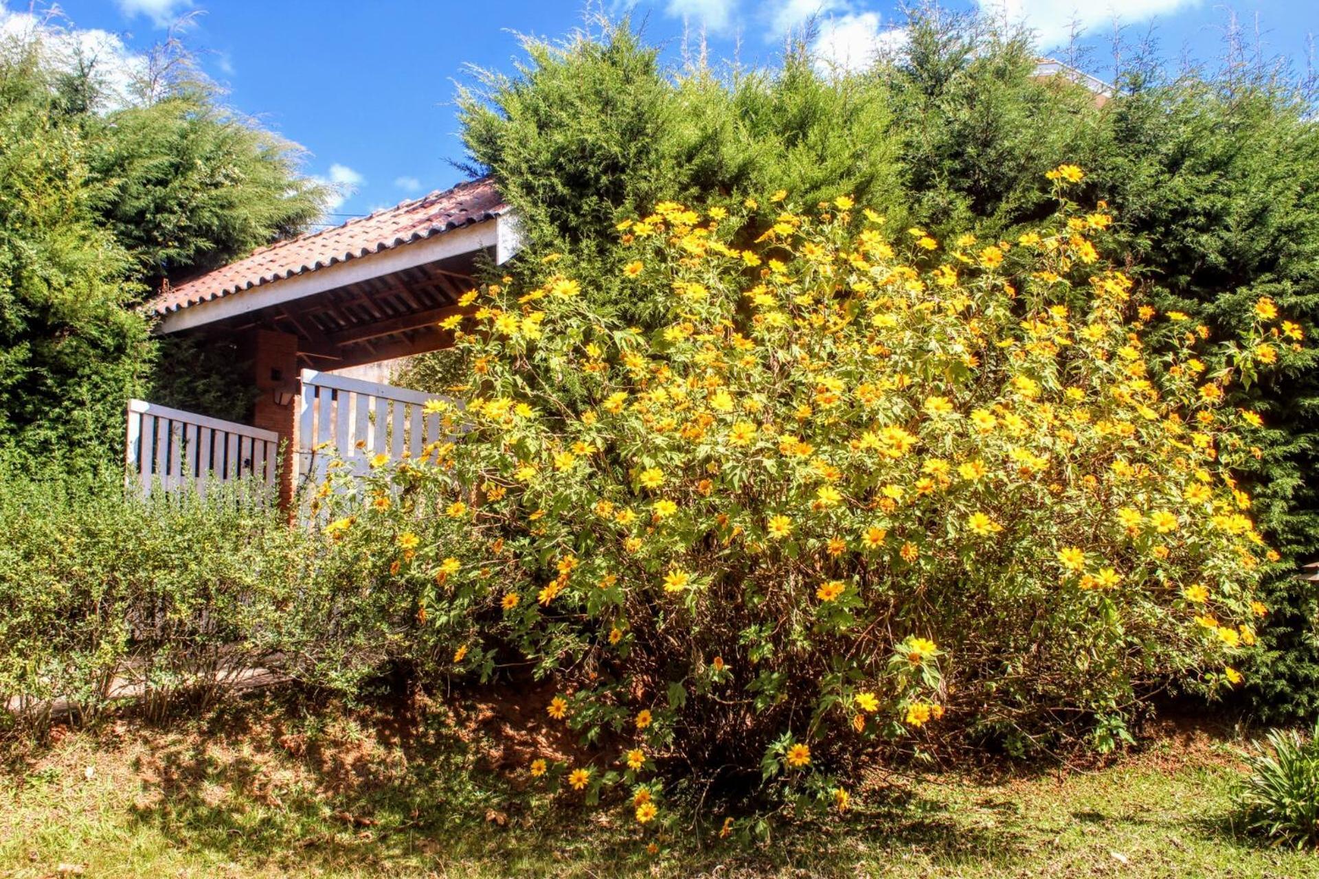 Casa de hóspedes A Casa Dos Artistas *